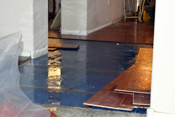 Professional Water Extraction technician working in Evansville, WI